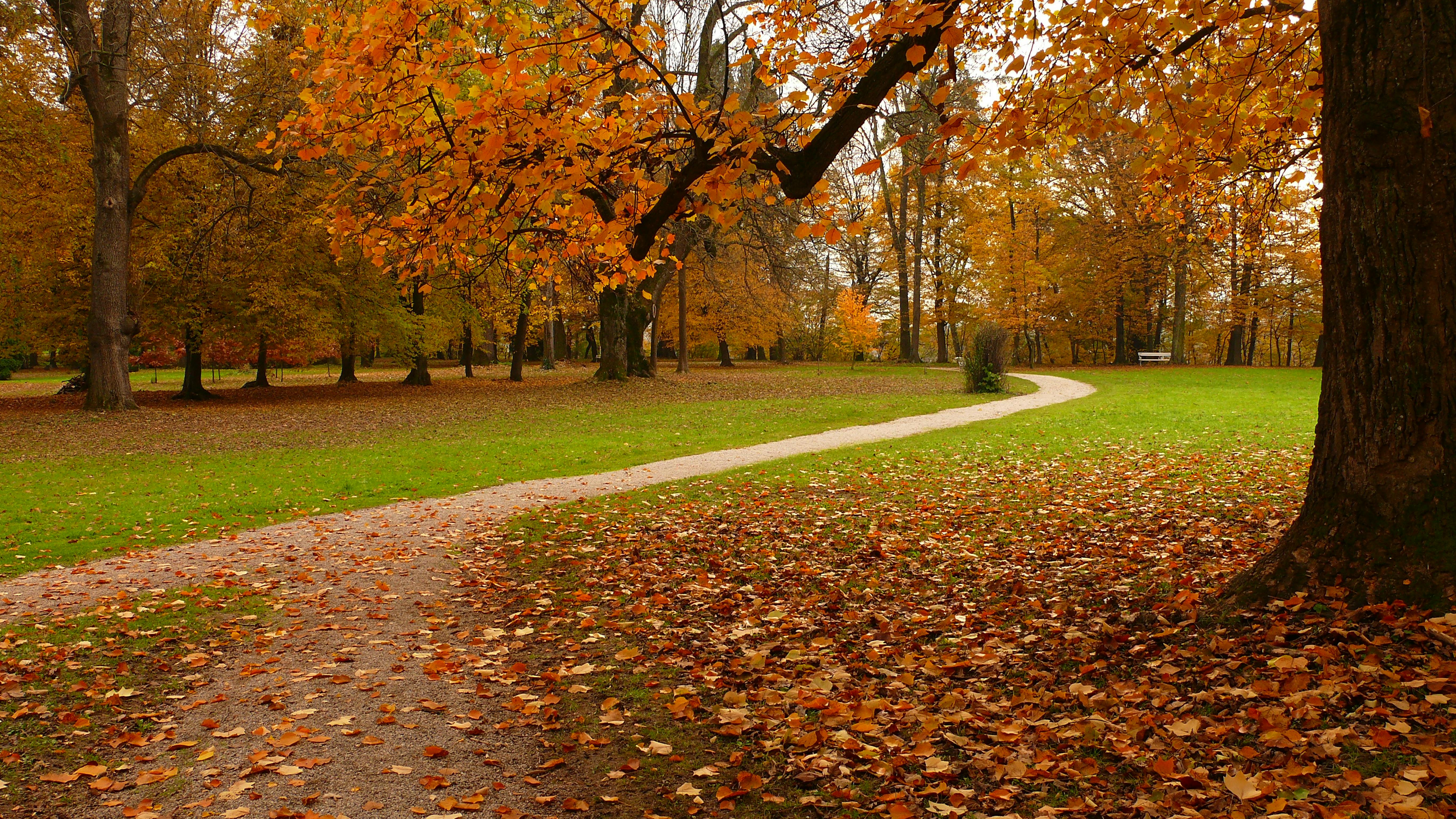 Ormož Park